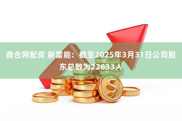 鼎合网配资 新雷能：截至2025年3月31日公司股东总数为22633人