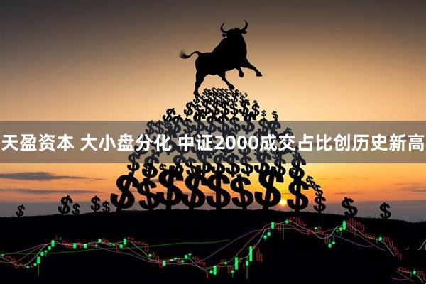 天盈资本 大小盘分化 中证2000成交占比创历史新高