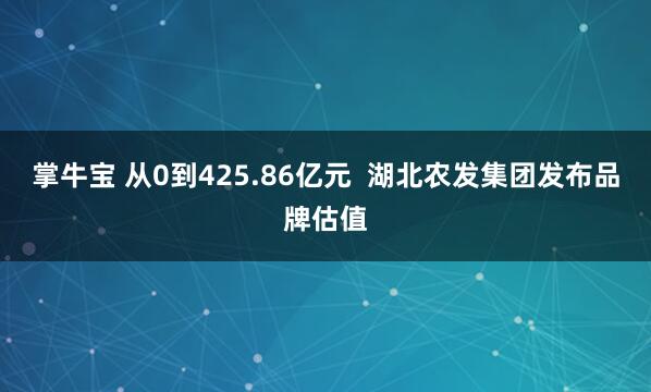 掌牛宝 从0到425.86亿元  湖北农发集团发布品牌估值