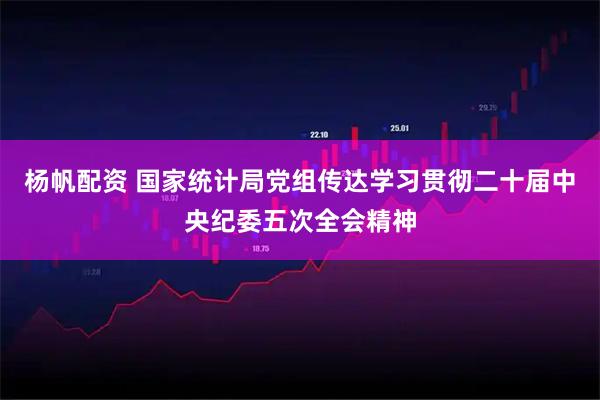 杨帆配资 国家统计局党组传达学习贯彻二十届中央纪委五次全会精神