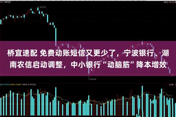 桥宜速配 免费动账短信又更少了，宁波银行、湖南农信启动调整，中小银行“动脑筋”降本增效
